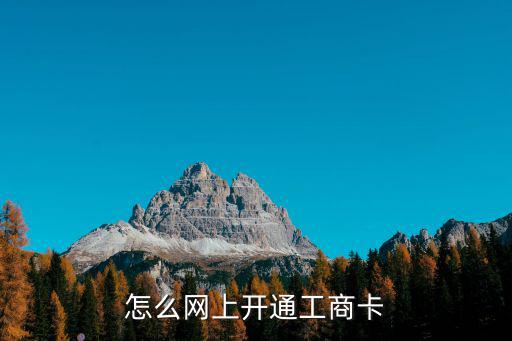 怎么網(wǎng)上開(kāi)通工商卡