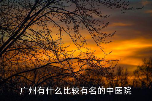 廣州有什么比較有名的中醫院