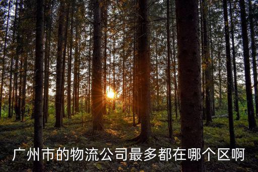 廣州市的物流公司最多都在哪個區啊
