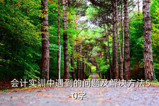  會計實訓中遇到的問題及解決方法50字
