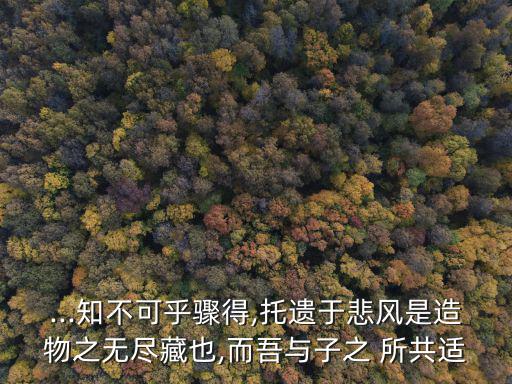 而吾與子之所共適,河上清風(fēng)山間明月造物主取之不盡共同享用