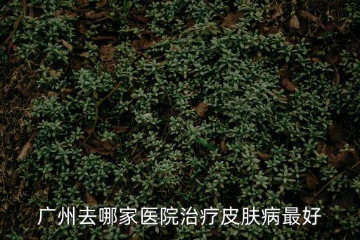 廣州去哪家醫(yī)院治療皮膚病最好