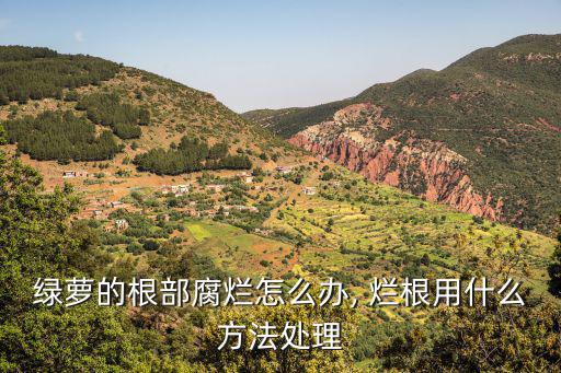 綠蘿的根部腐爛怎么辦, 爛根用什么方法處理