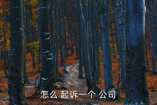 怎么 起訴一個(gè) 公司