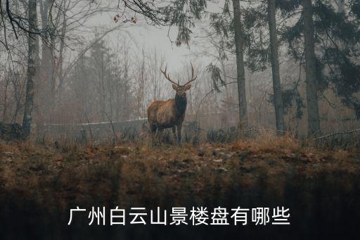 廣州市白云區市在售樓盤，廣州白云山景樓盤有哪些
