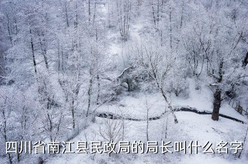 四川省南江縣民政局的局長叫什么名字
