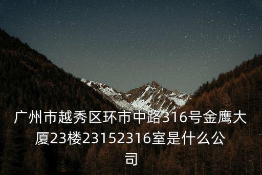 廣州市越秀區(qū)環(huán)市中路316號(hào)金鷹大廈23樓23152316室是什么公司