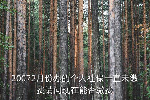 20072月份辦的個人社保一直未繳費請問現(xiàn)在能否繳費