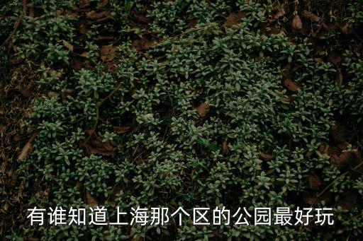 有誰知道上海那個(gè)區(qū)的公園最好玩
