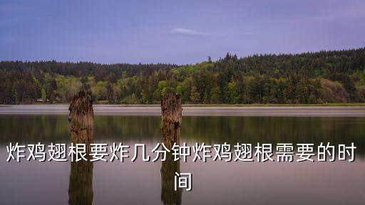 炸雞翅根要炸幾分鐘炸雞翅根需要的時間
