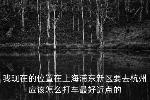 我現在的位置在上海浦東新區要去杭州應該怎么打車最好近點的