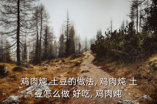  雞肉燉 土豆的做法, 雞肉燉 土豆怎么做 好吃, 雞肉燉