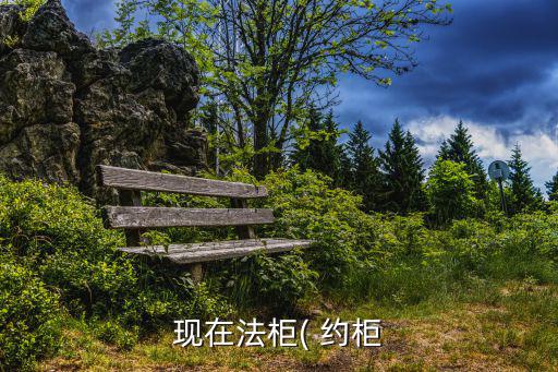 現在法柜( 約柜