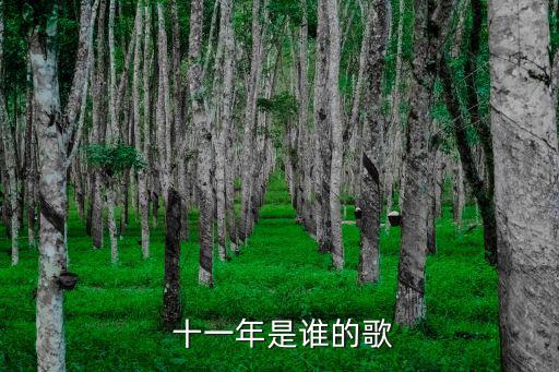  十一年是誰的歌