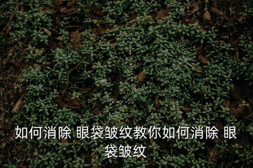 如何消除 眼袋皺紋教你如何消除 眼袋皺紋