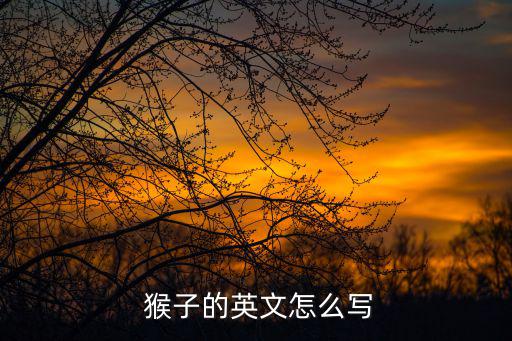  猴子的英文怎么寫