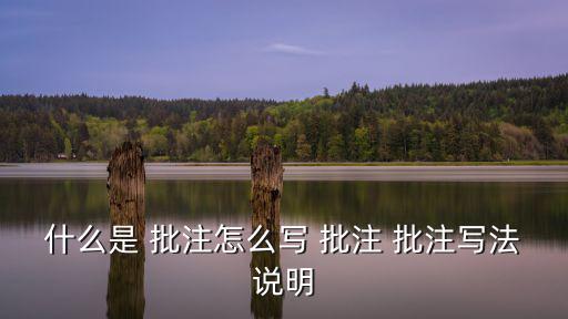 什么是 批注怎么寫(xiě) 批注 批注寫(xiě)法說(shuō)明