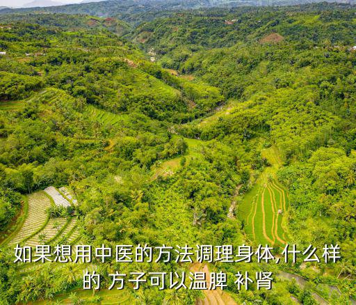 如果想用中醫的方法調理身體,什么樣的 方子可以溫脾 補腎
