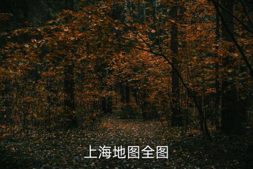 上海地圖全圖