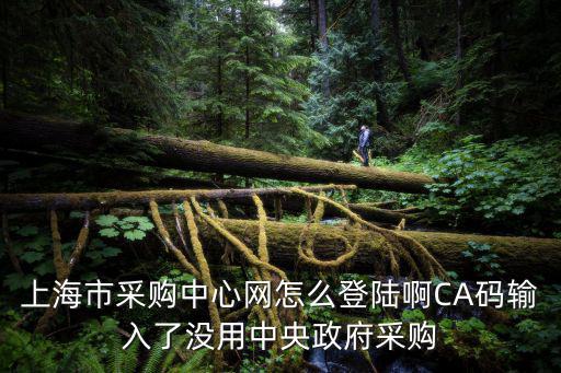 上海市采購中心網怎么登陸啊CA碼輸入了沒用中央政府采購
