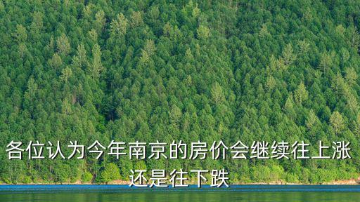 各位認為今年南京的房價會繼續往上漲還是往下跌