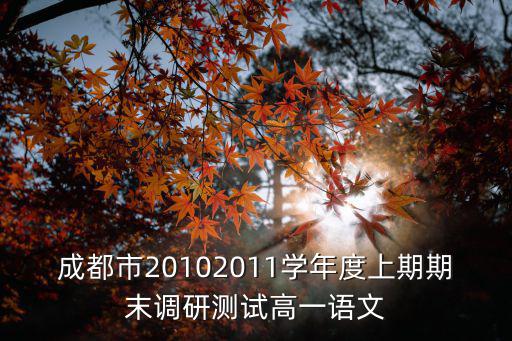成都市20102011學(xué)年度上期期末調(diào)研測試高一語文