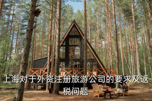 上海臨港企業(yè)返稅政策，我以前在上海外高橋造船廠的分廠臨港海洋工程有限公司辦了一個(gè)焊工