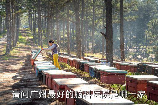頭部做手術(shù)廣州哪家醫(yī)院最好，廣州市腦科醫(yī)院哪家最好有詳細(xì)地址嗎
