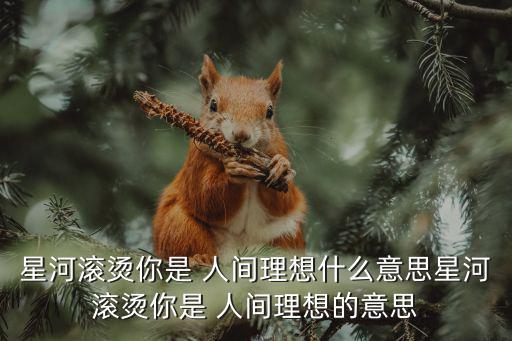 人間理想,銀河滾燙，你是人間理想袁詠儀回應星河璀璨