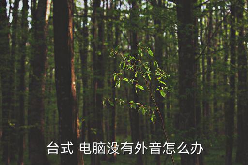  臺式 電腦沒有外音怎么辦