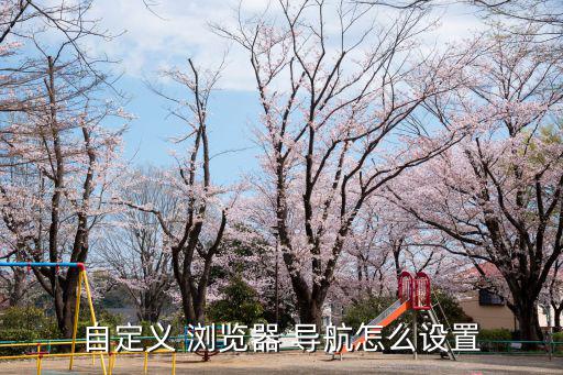 自定義 瀏覽器 導(dǎo)航怎么設(shè)置