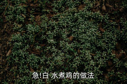 急!白 水煮雞的做法