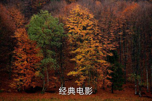 絕命調查,《簡筆畫》講述主人公羅伊是騙子的故事
