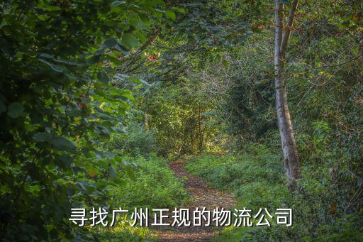 尋找廣州正規的物流公司