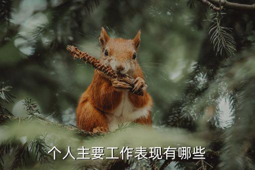 主要工作,一名社會工作證書持有者的工作表現(xiàn)如下