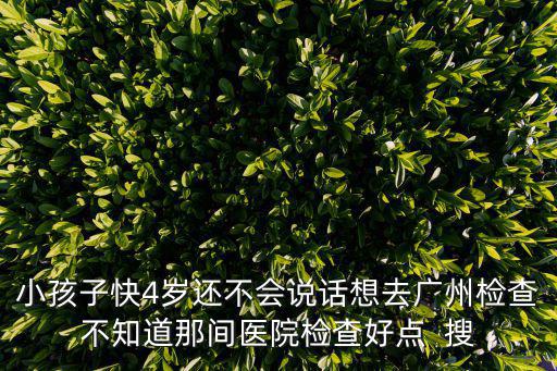 小孩子快4歲還不會說話想去廣州檢查不知道那間醫院檢查好點  搜