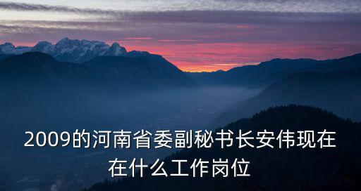 2009的河南省委副秘書長安偉現(xiàn)在在什么工作崗位