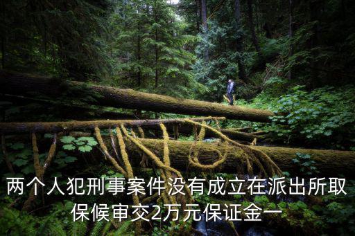兩個人犯刑事案件沒有成立在派出所取保候?qū)徑?萬元保證金一