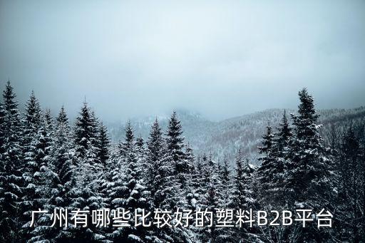 廣州有哪些比較好的塑料B2B平臺