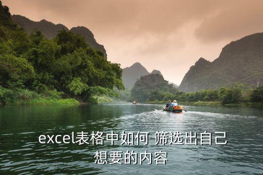  excel表格中如何 篩選出自己想要的內(nèi)容