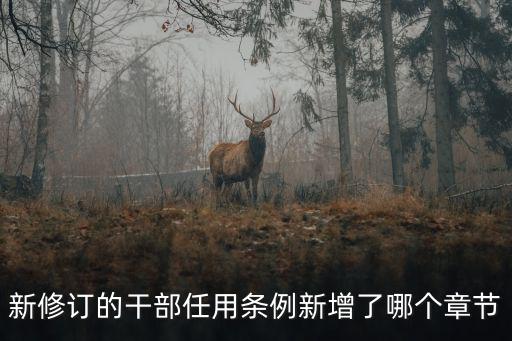 新修訂的干部任用條例新增了哪個章節