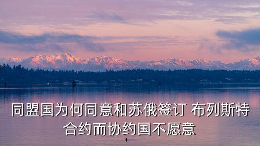 布列斯特條約,德國(guó)和魏瑪政府簽署廢止條約號(hào)協(xié)議