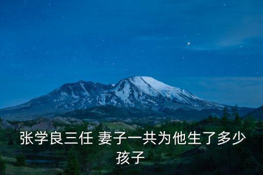  張學良三任 妻子一共為他生了多少孩子