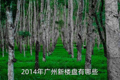 2014年廣州新樓盤有哪些