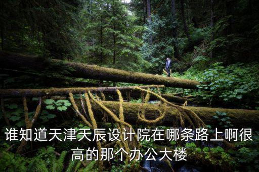 誰知道天津天辰設計院在哪條路上啊很高的那個辦公大樓