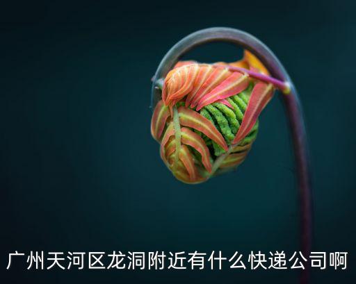 廣州物流公司都有什么，義烏到廣州海珠有哪些物流公司