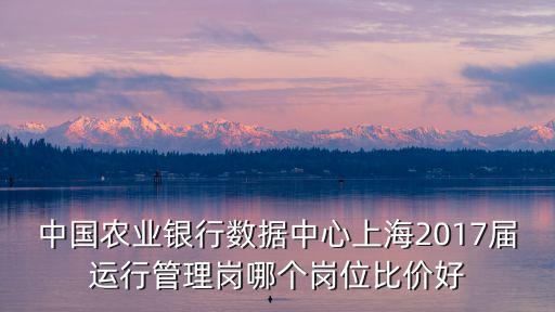 中國農業銀行數據中心上海2017屆運行管理崗哪個崗位比價好