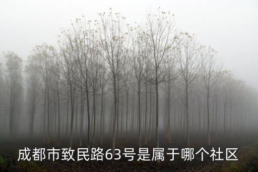 成都市致民路63號(hào)是屬于哪個(gè)社區(qū)