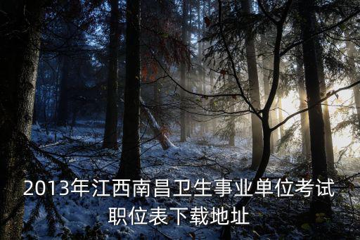 2013年江西南昌衛生事業單位考試職位表下載地址