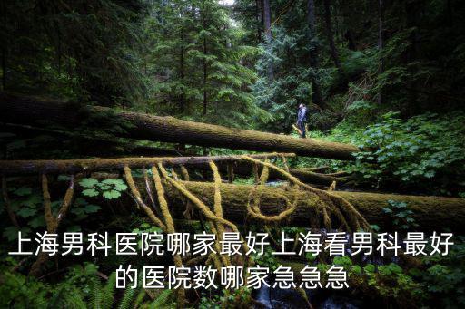 上海男科醫院哪家最好上海看男科最好的醫院數哪家急急急
